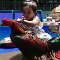 เอฟชาวไร่ 👨🏻‍🌾 พม่าแข้งหน้า 🐓
