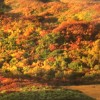 関東甲信20代30代の登山仲間募集！！