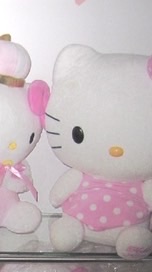 ☆pikapika日韓連線★