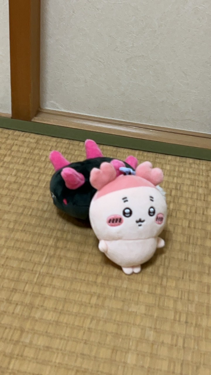 避難所たろさく