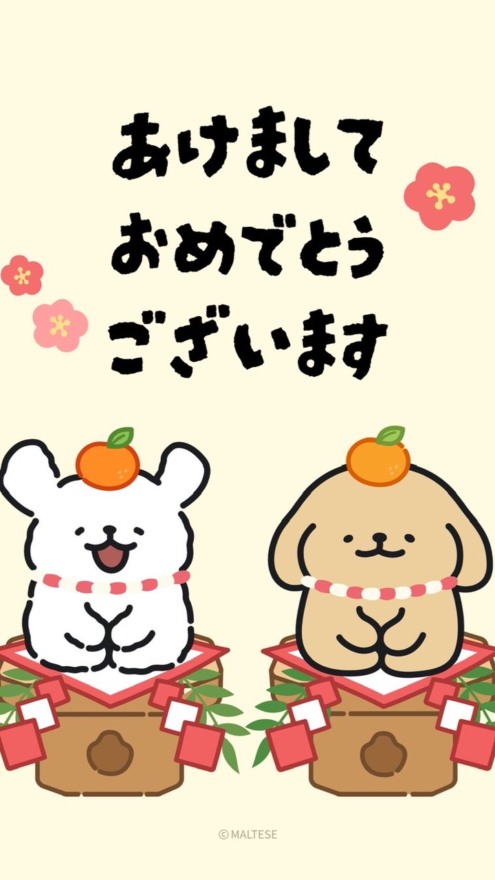 【ファン交流】モルチーズ＆レトリバー