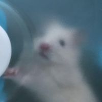 白糖の教會