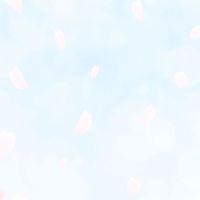 緑が丘幼稚園 謝恩会🌸