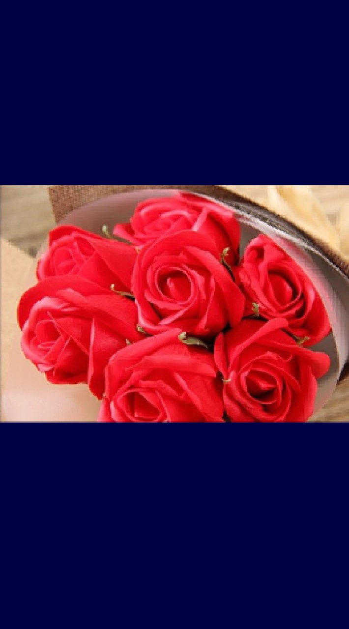 🏳️‍🌈新高１の薔薇🌹好き集まれ〜