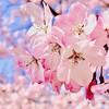 刀剣男士の雑談チャット【刀剣乱舞なりきり】