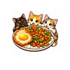 ได้เวลากินข้าวเเล้วววว