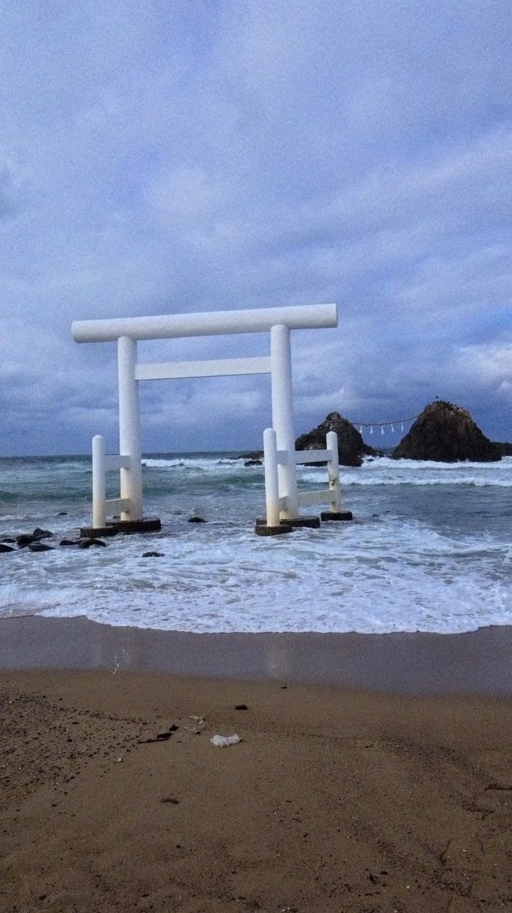 black pink､ i －dle🐶