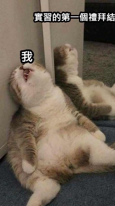小實習‧大夢想 - 11401中等教育實習