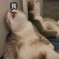 小實習‧大夢想 - 11401中等教育實習