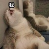 小實習‧大夢想 - 11401中等教育實習