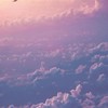 不專業空中超人代購群
