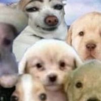 うしおどっぐす