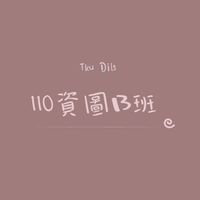 110資圖系-B班