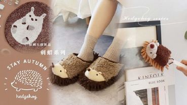 韓國大創新品「刺蝟系列」上市！超療癒刺蝟拖鞋、刺蝟地毯，刺蝟控準備失心瘋啦！