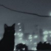 折伽羅学園 - 承認無