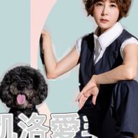 凱洛與毛孩