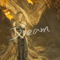 奧丁華1 Dream
