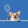 🏸小狗拍拍羽球團😎
