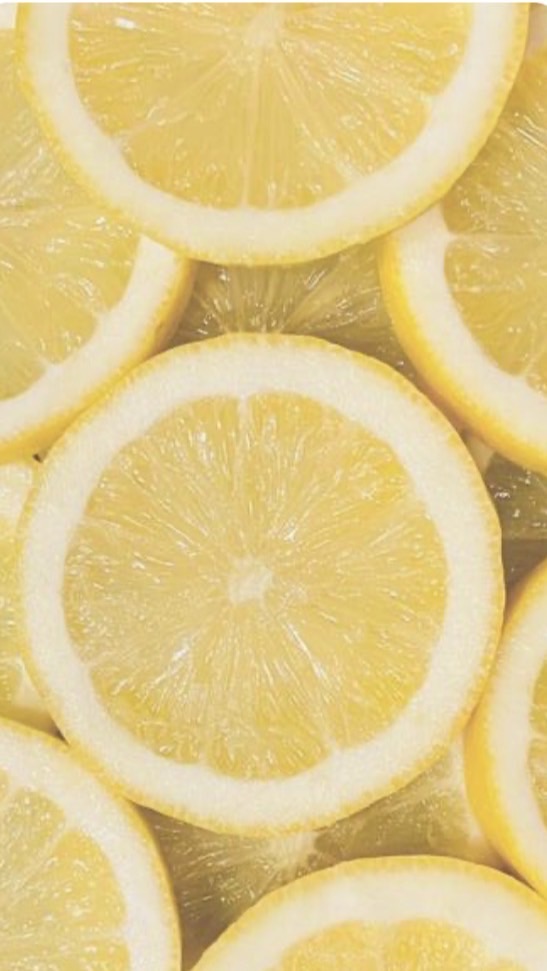 🍋ྀི　れもねーど 喫茶　𓂋‎⟡˖ ࣪⊹