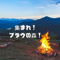 🟡集まれ！プラウの森！🟡