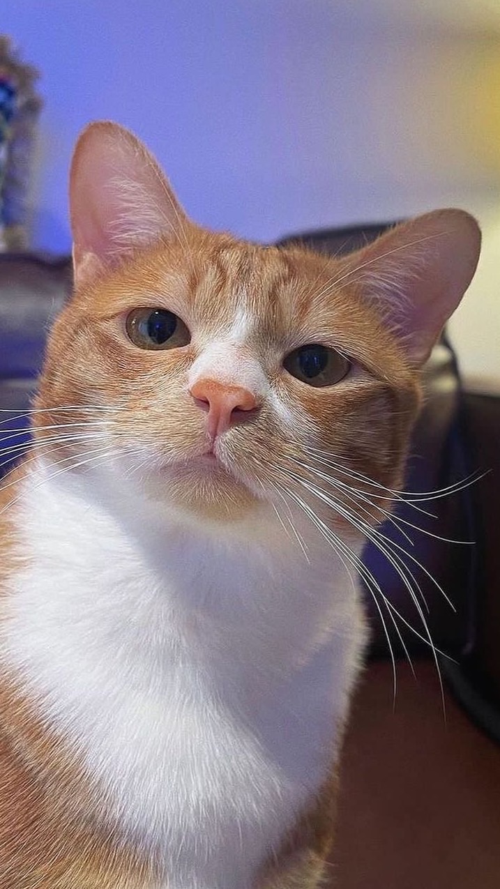 ตะลอนกิน One Day Trip