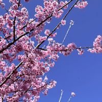 開下去了