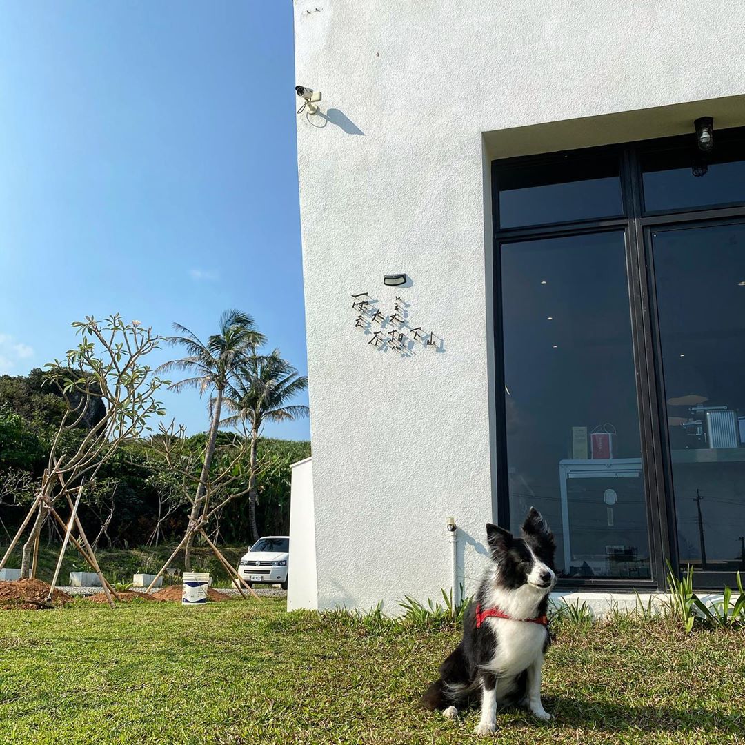 雲太美 @seany109(1)