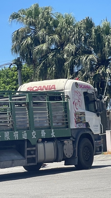 ROBLOX遊戲交易（植物大戰腦紅）