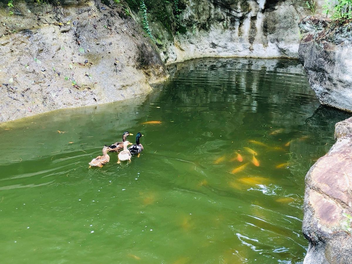 WQvIIT4QFf76jFzbW101VyAT52ZFjLWf22MZnk7P