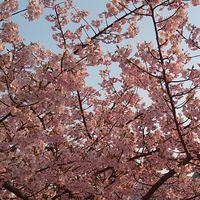 古典の言葉で話す