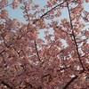 古典の言葉で話す