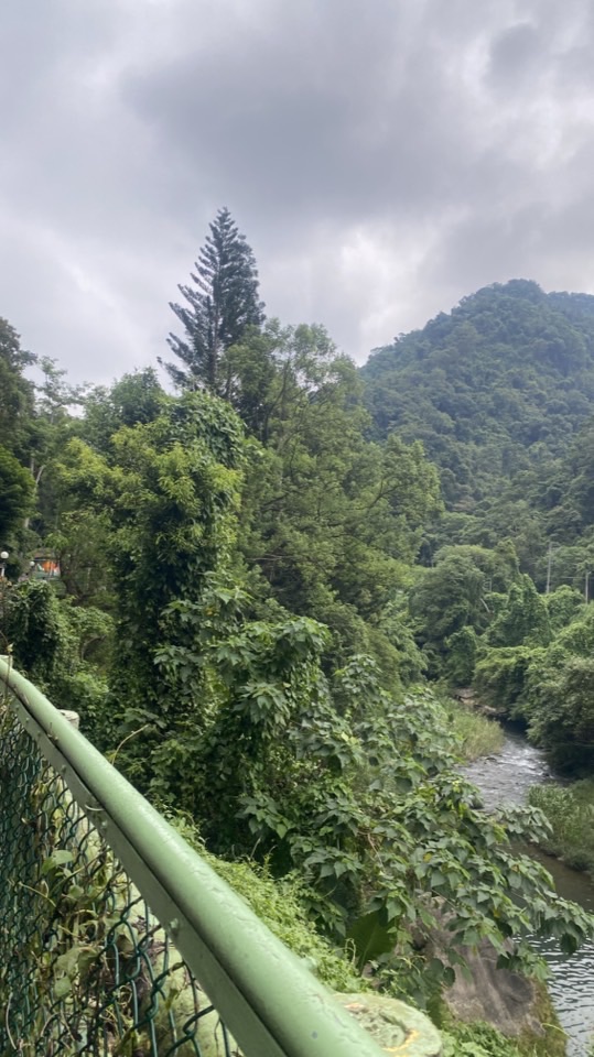 康富樂健康檢驗資詢分析