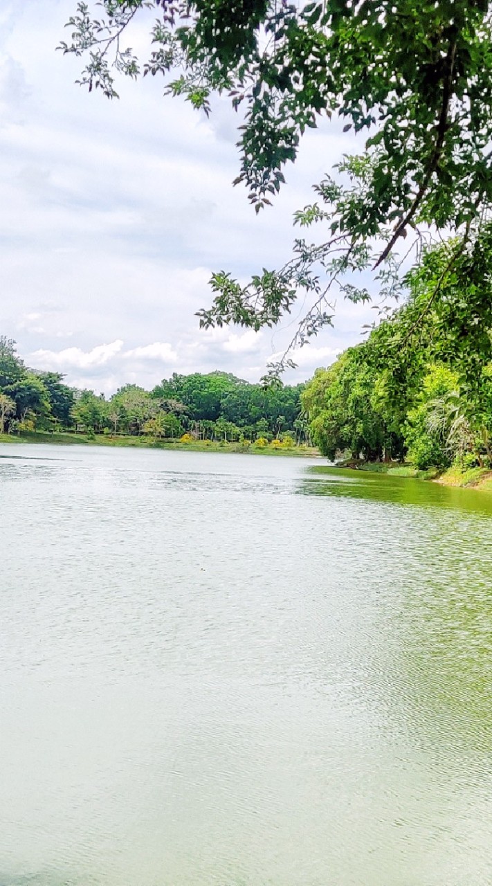 กองคลังเทศบาลตำบลนาตาล่วง