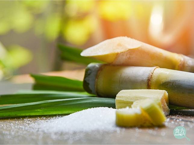 生產1公斤蔗糖消耗的水可以讓一個人喝兩年 你會為了地球永續少吃糖嗎 食力foodnext Line Today