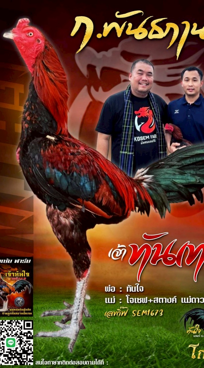 🐓 ก.พันธกานต์ 🐓