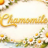 สังกัดCHAMOMILE