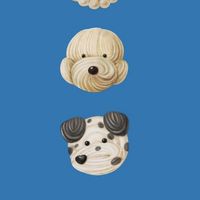 Preorder Hailoogloog🐾
