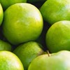 今すぐ入ってミセスイラスト🍏