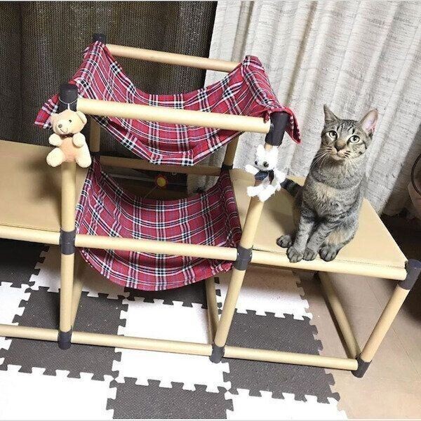 見たら真似したくなる 手作り猫ハンモック 5選