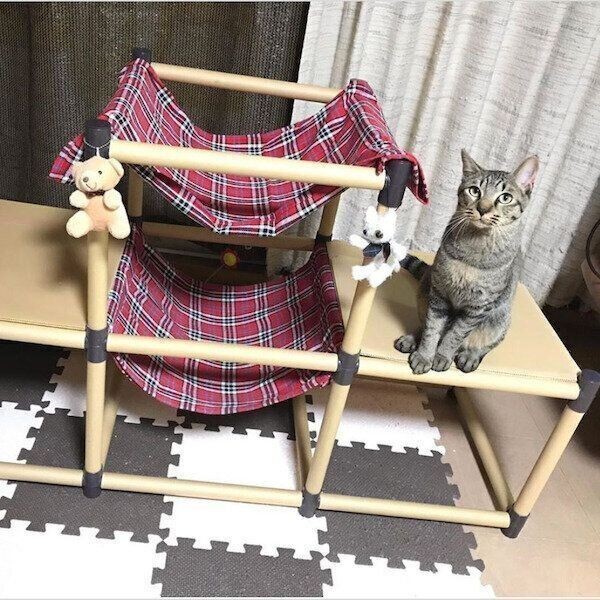 完売 びひあん2001年様専用 猫のハンモック ハンドメイド ienomat.com.br