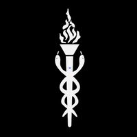 พรรคศาลายาเนี่ยน - Party of the Salayanians