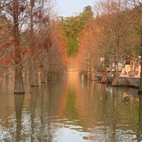 正向交流