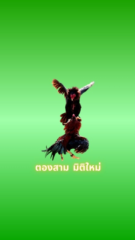 🌐สนามชนไก่ ตองสามมิติใหม่ บ้านโพนสวรรค์ อำเภอสระใคร