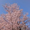 雑談しよーぜー。