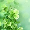 阿部亮平総受け   BL