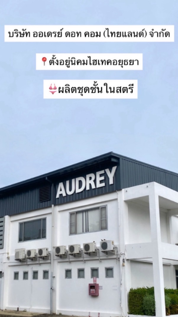 กลุ่ม 2 บริษัท ออเดรย์ ดอท คอม (ไทยแลนด์) จำกัด