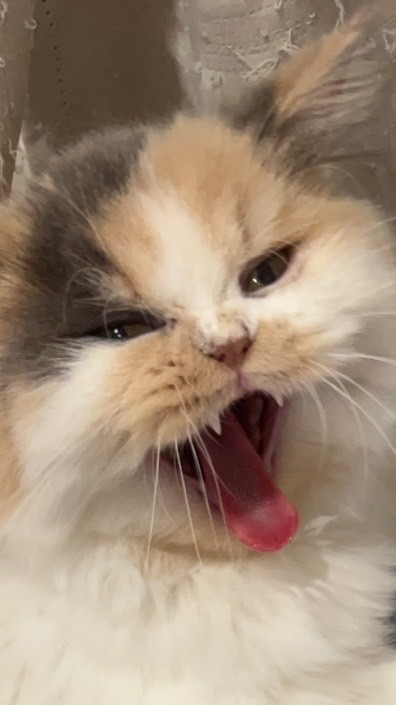 ขายแน่แต่ยังไม่รู้จะขายไร