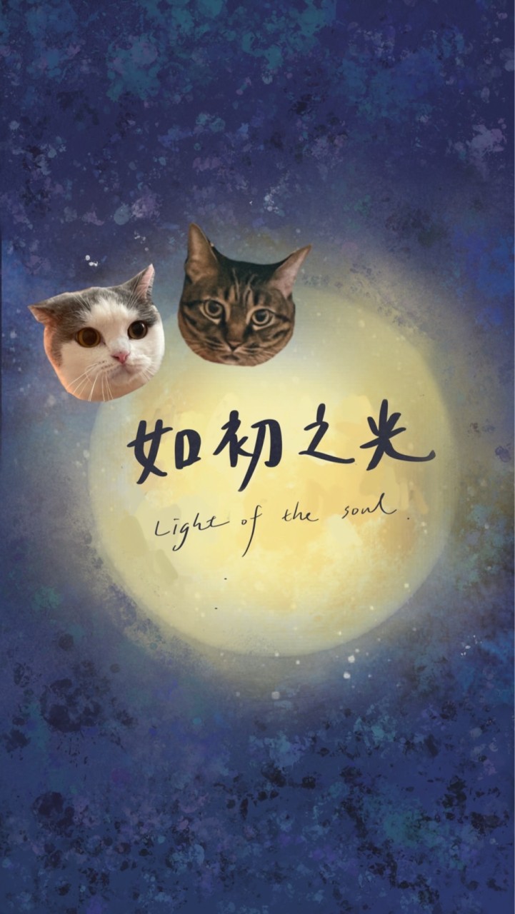 如初之光_公益療癒社群