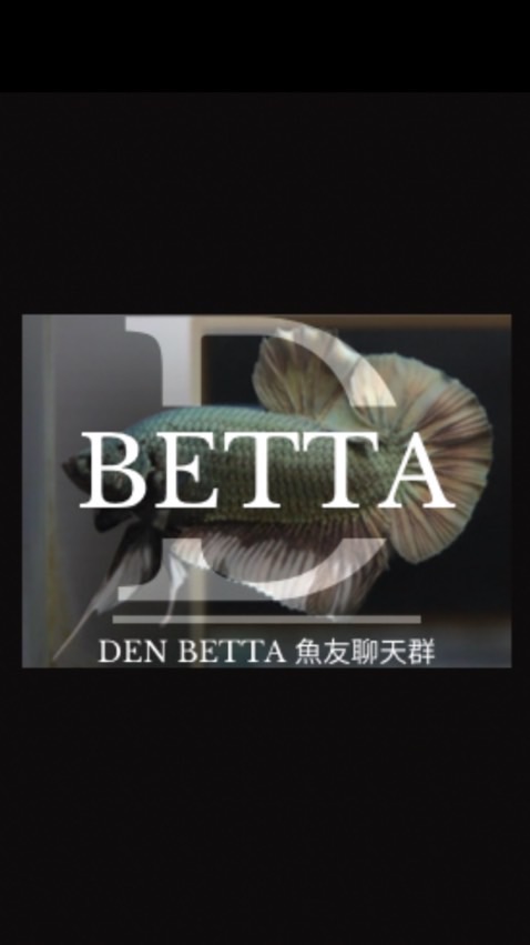 Den Betta 魚友聊天分享群