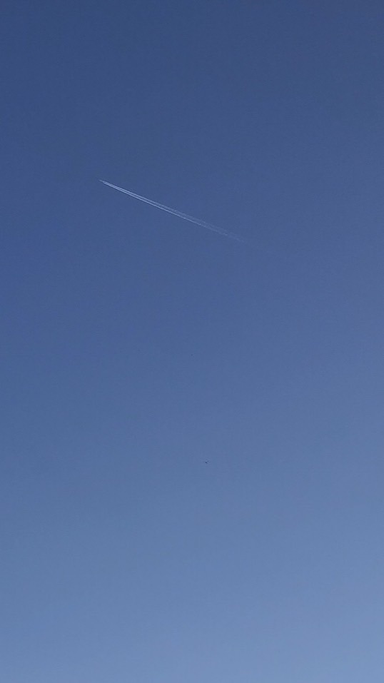 ボイメで盛り上げよー！（歌）